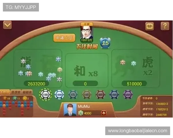 详细百家乐龙虎斗攻略指南帮助新手快速入门实现盈利梦想